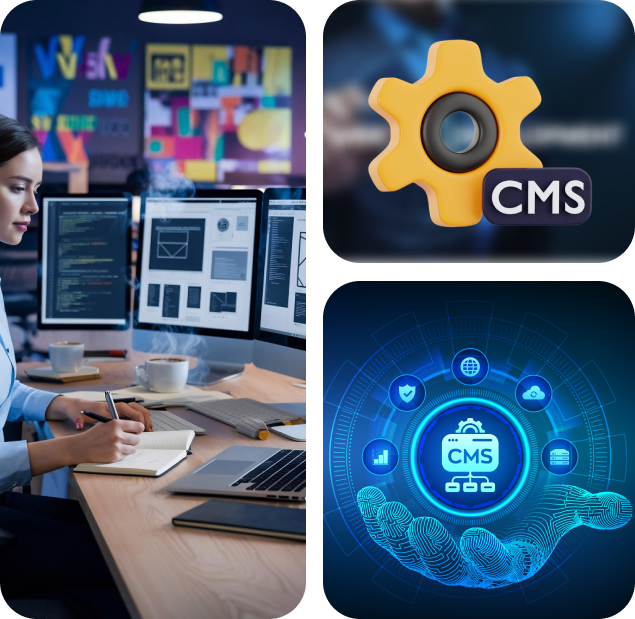 CMS Web Development